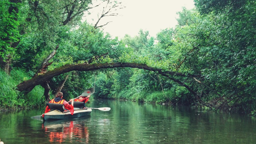 Our river boating trips